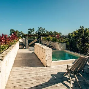 Vida Boho 6 With Special Fee To Access Bardo Mexique